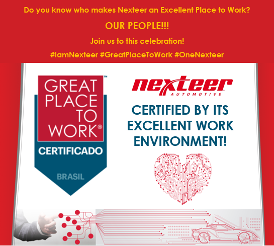 Nexteer Brazil social media