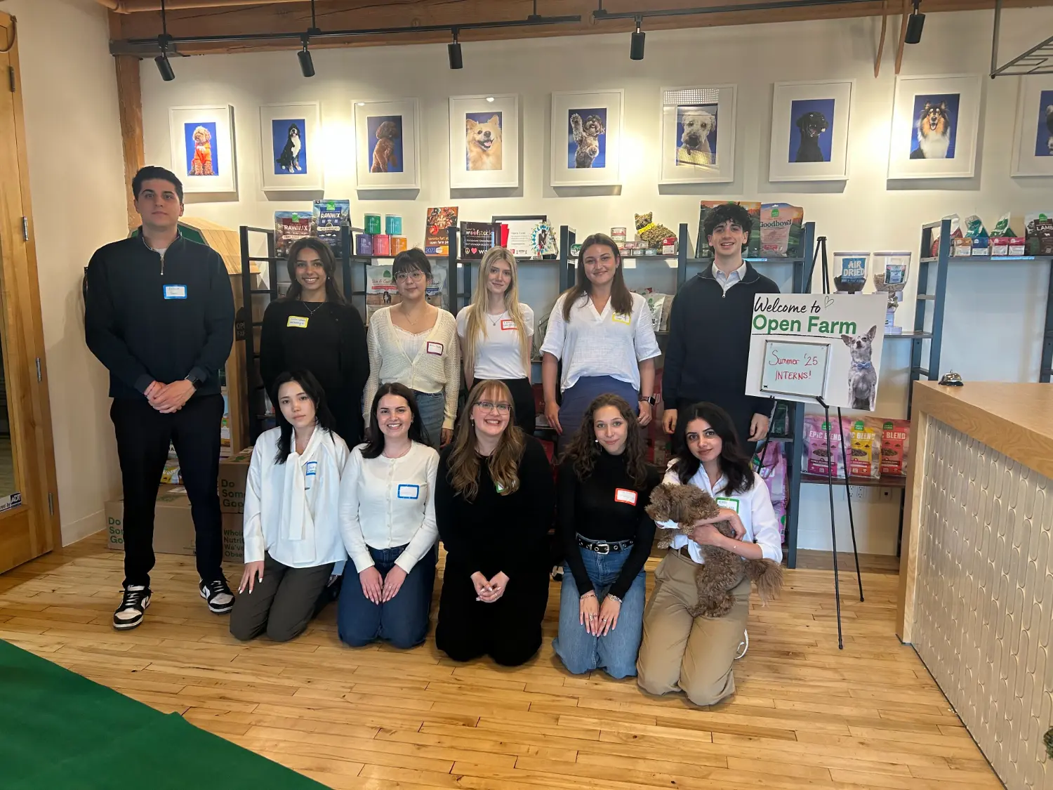 Welcoming our summer 2025 interns