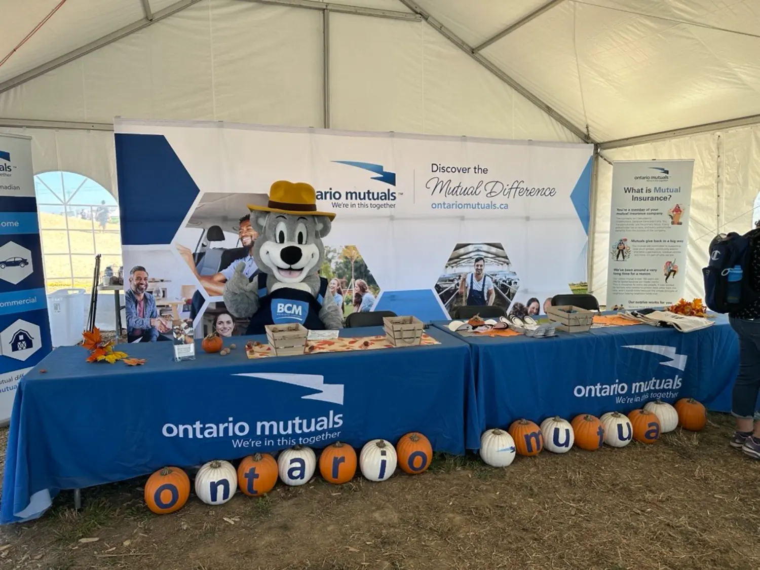 Bertie the Bear visited the OMIA exhibitor booth at this years International Plowing Match in Grassie, Ontario.