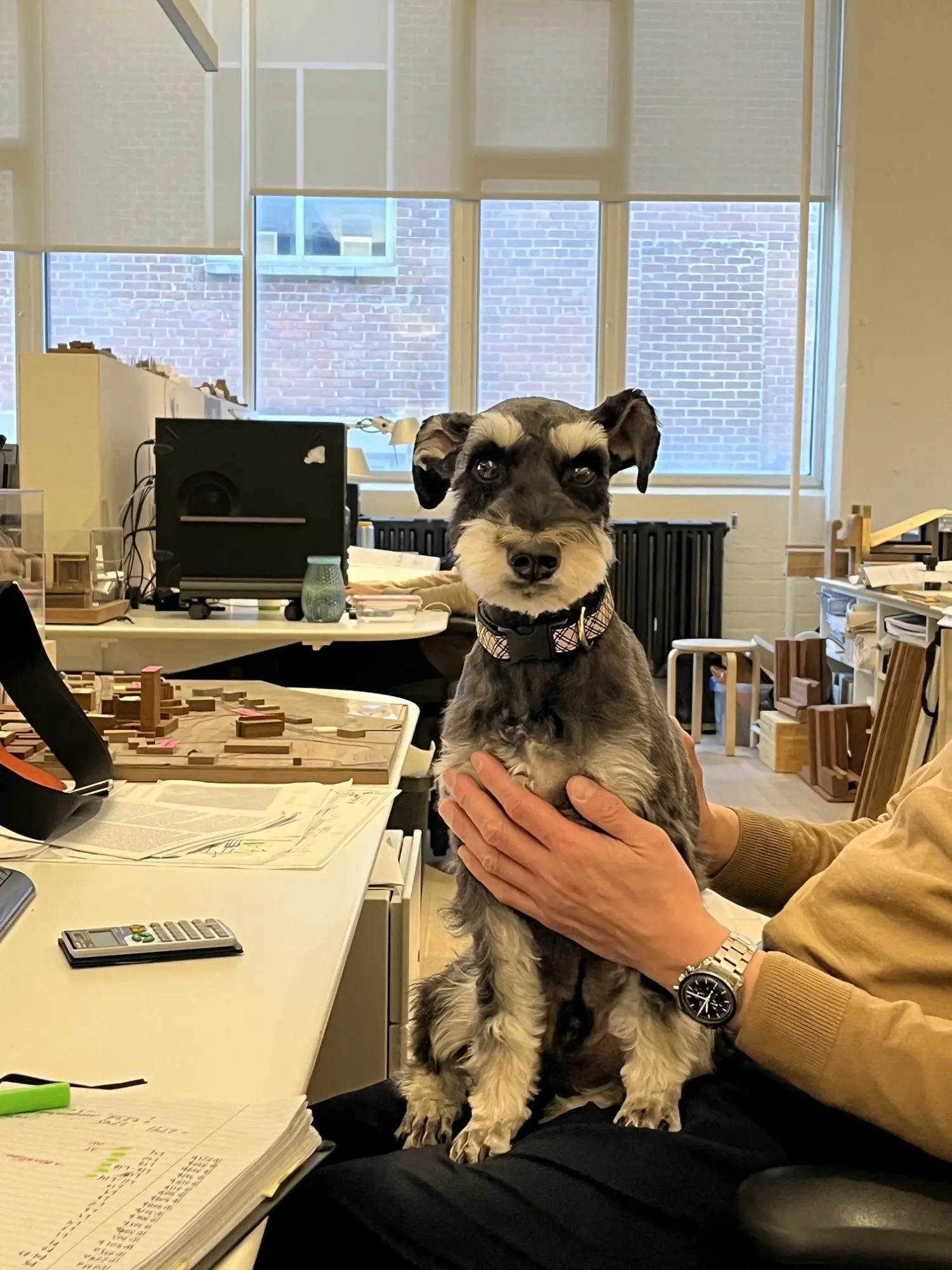 HPA open-concept office offers more than enough room for friendly visits from our dearest furry friends!