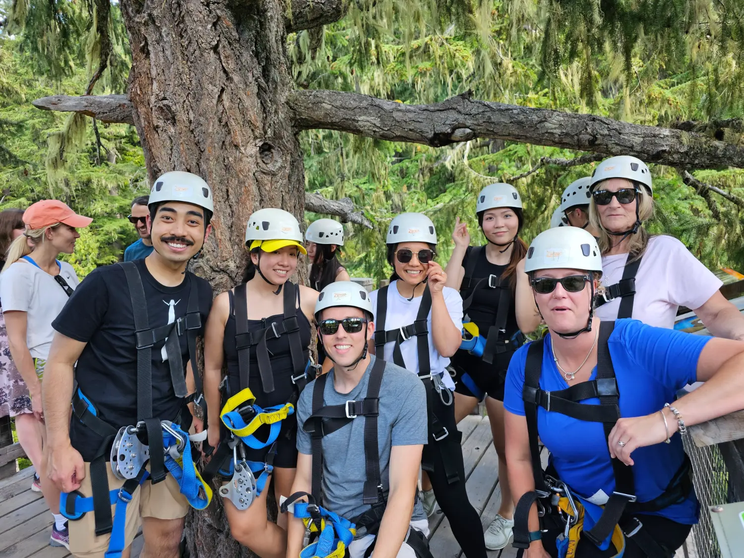 Ziplining in Whistler