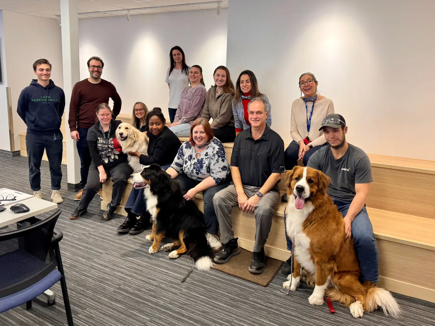 Photo de notre journée Puppy Friday au bureau.