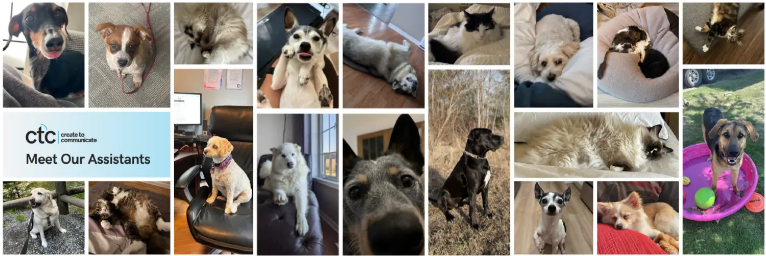 Meet the stars of our CTC Pets Fan Club! We’ve got a chat dedicated to sharing the cutest pics of our furry friends