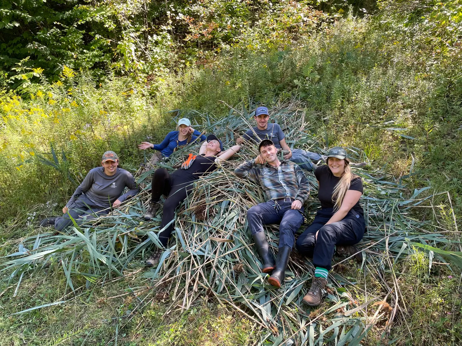 Employees rest on a pile of invasive phragmites removed in Ontario (Photo by NCC).