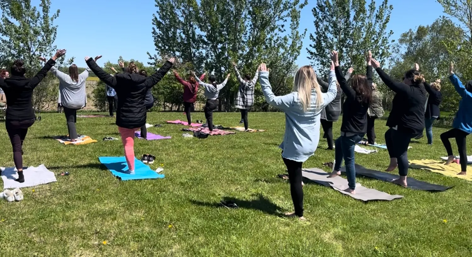 Relaxing and recharging with somatic movement and yoga during our annual wellness week!