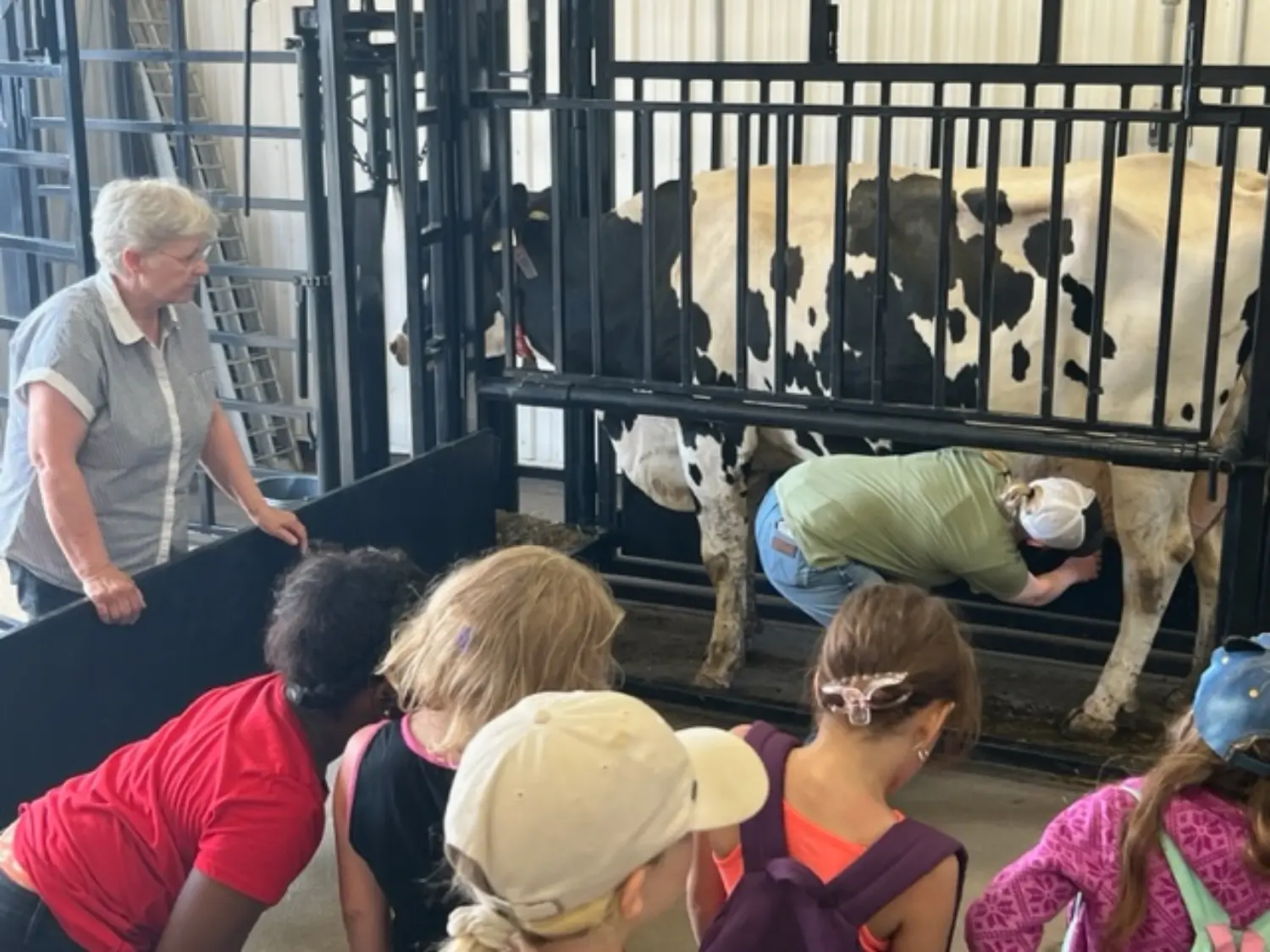 Burger and Fries learning day at the clinic for all the local grade 3 classes.