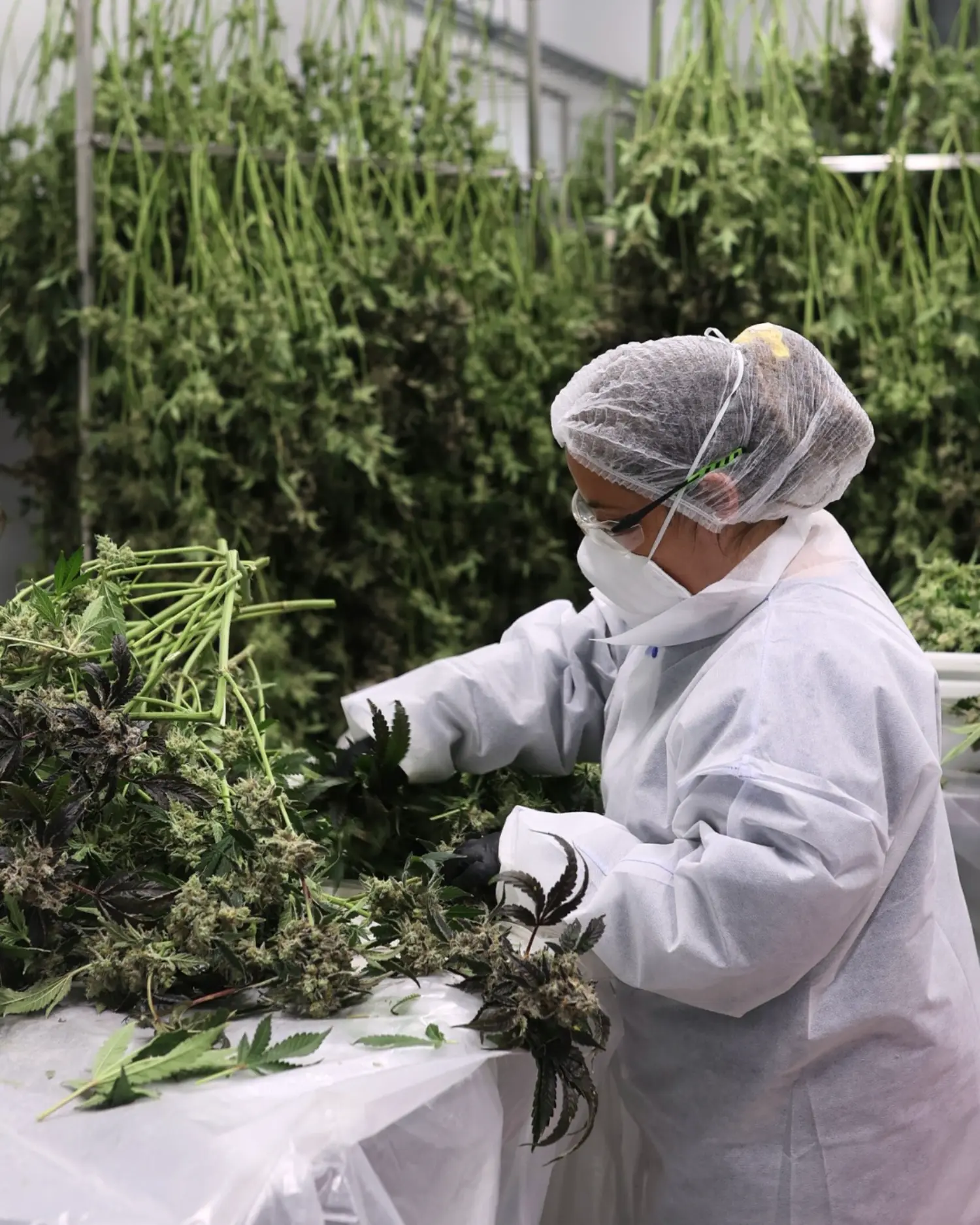 Products that reflect our values of authenticity, quality, and respect for nature.