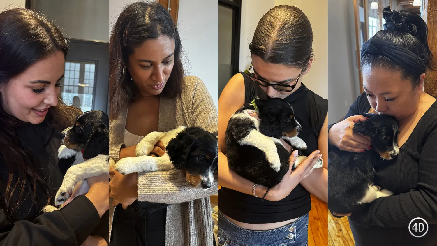 Puppy visits at the office