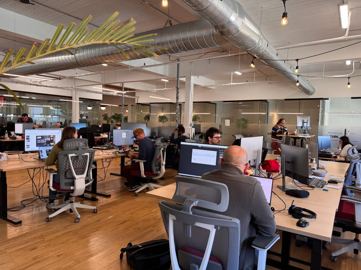 WHC team collaborating in our open space, where ideas flow and teamwork drives innovation.