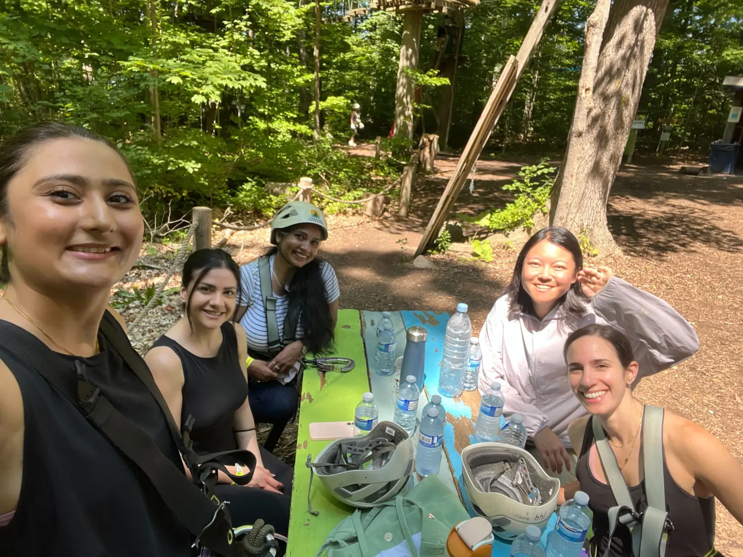 Tree Top Trekking.  The best kind of team building