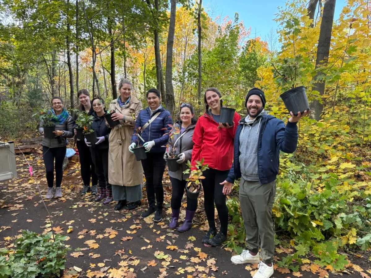 ACI at tree planting activity