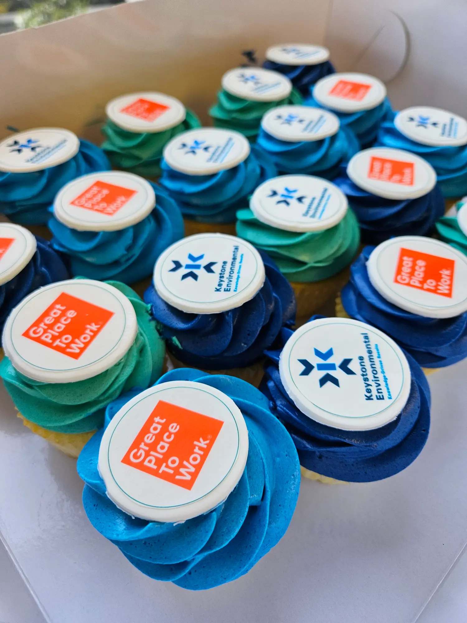 Celebrating our Great Place to Work Certification with some cupcakes.