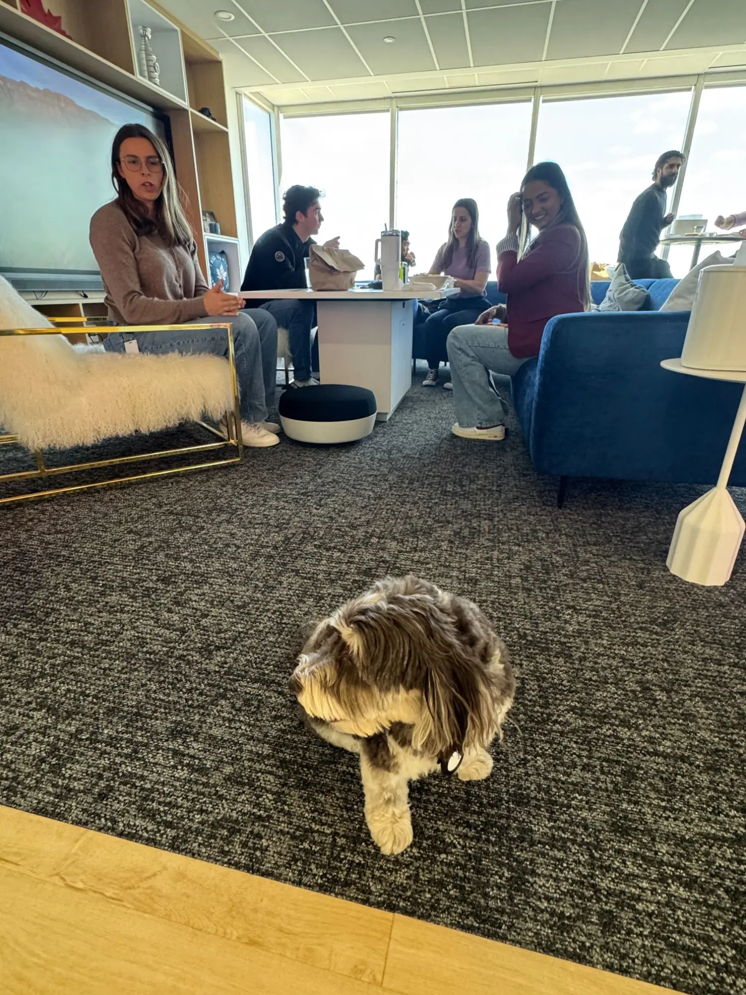 Chief Barking Officer