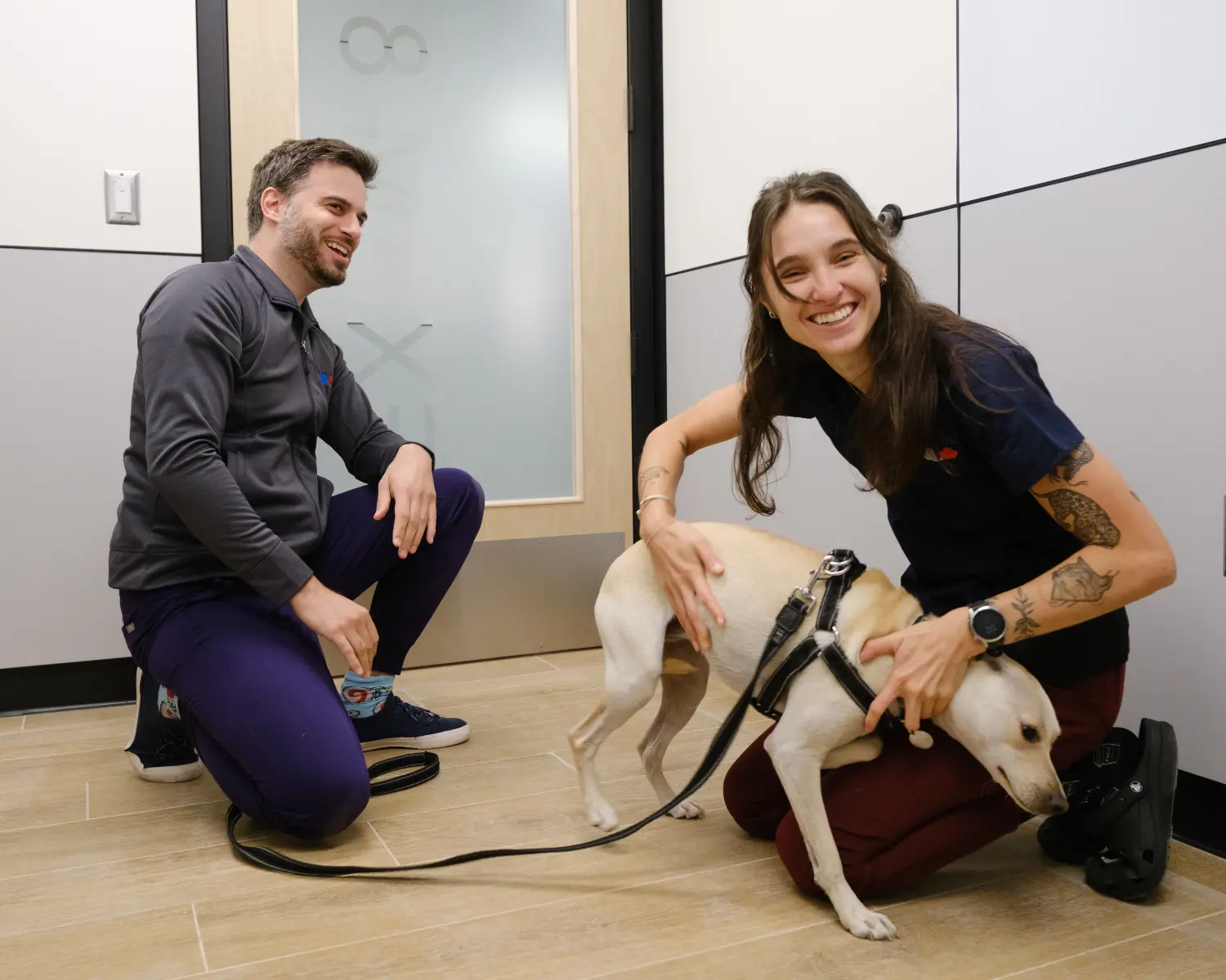 A hospital team meeting a new patient