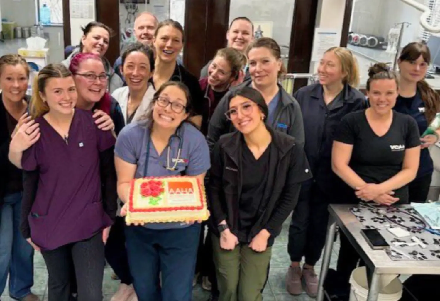 A team celebrating a hospital accreditation