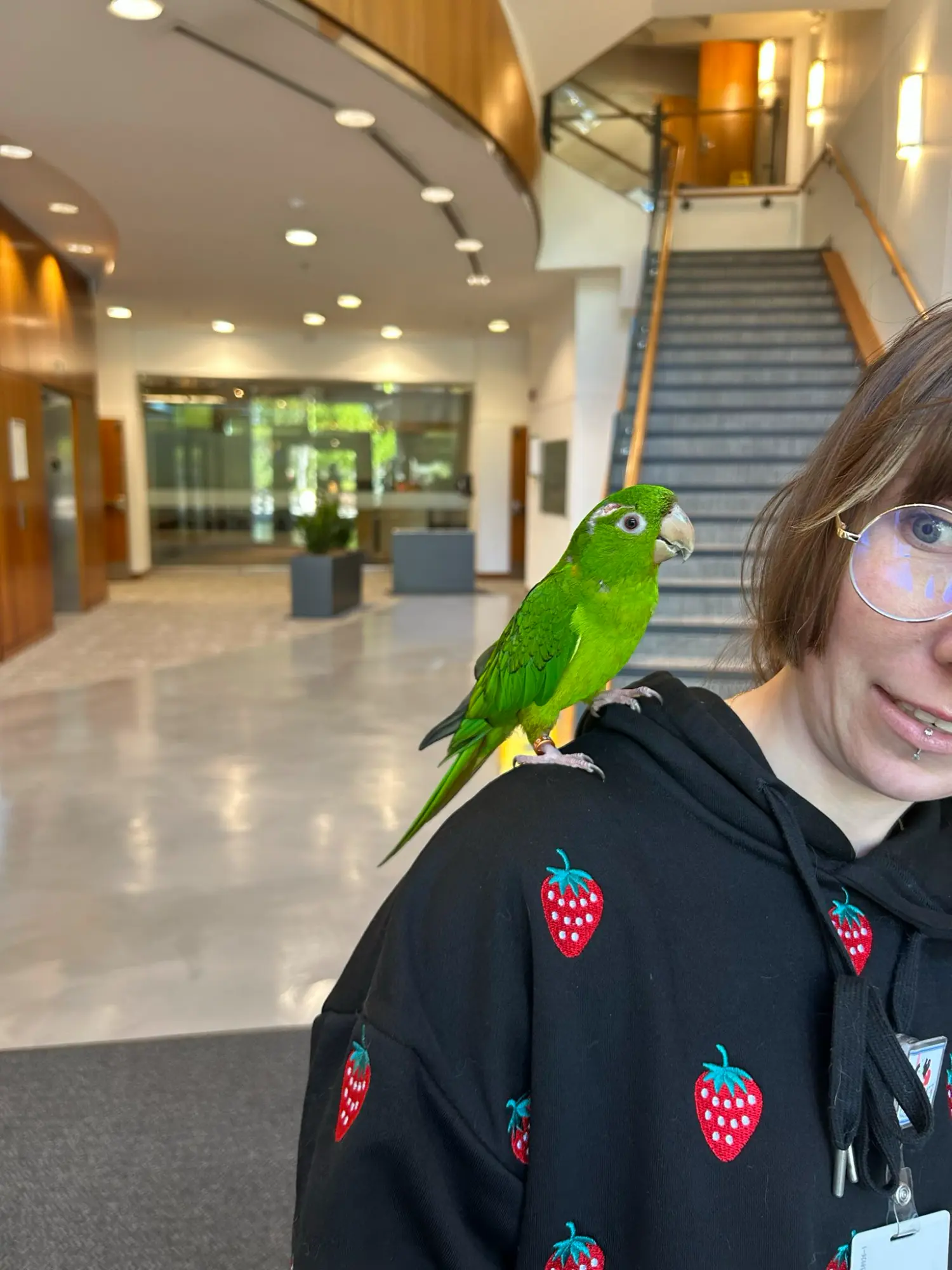 Bird rescue