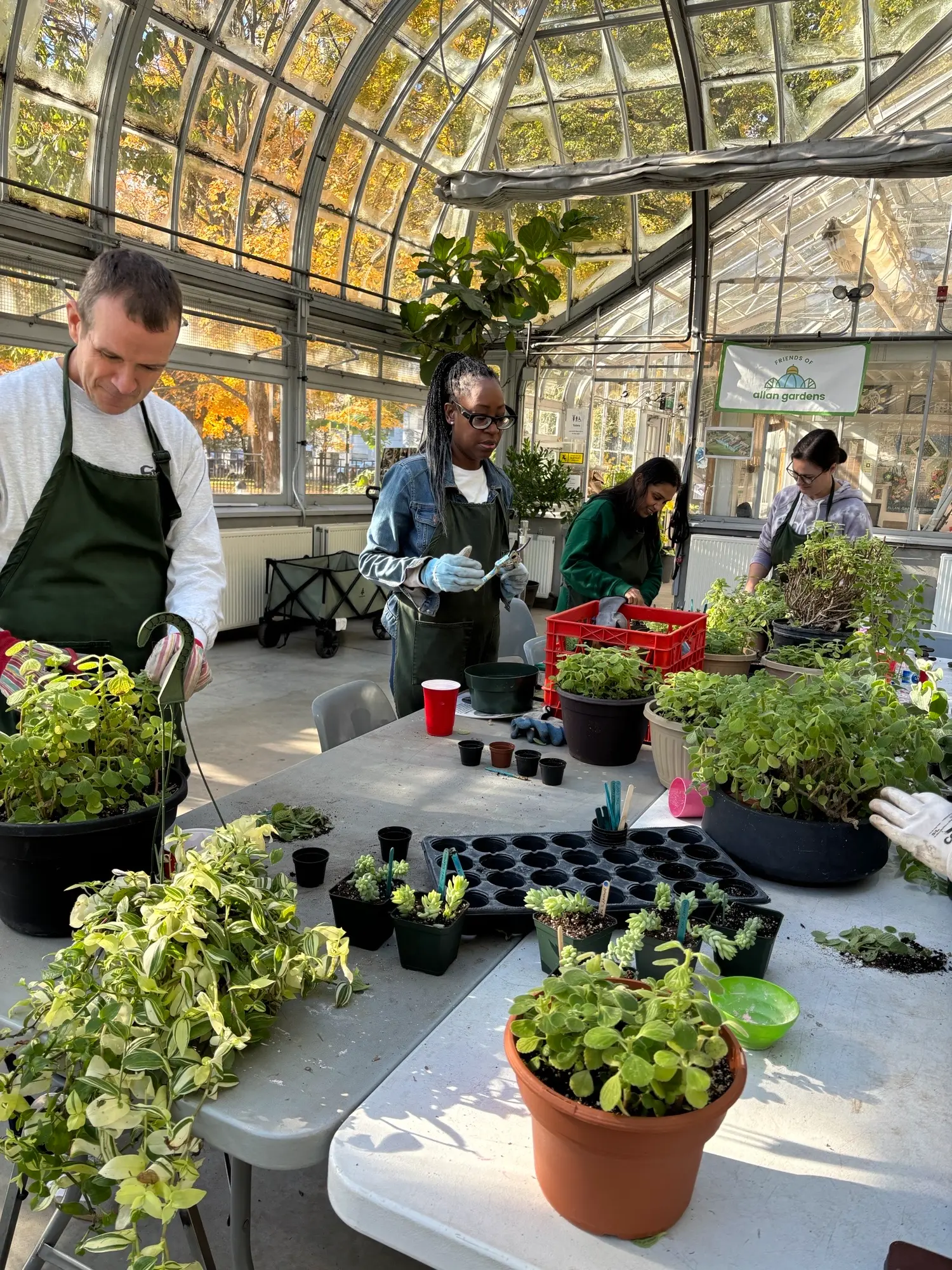 Team Volunteer Day - Hands-on gardening at Edwards Gardens.