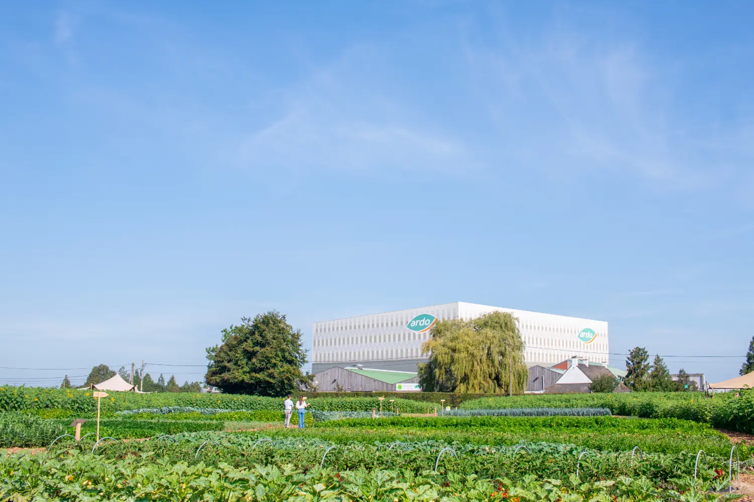 With a focus on sustainable agriculture, Ardo is committed to innovation and continuous improvement.