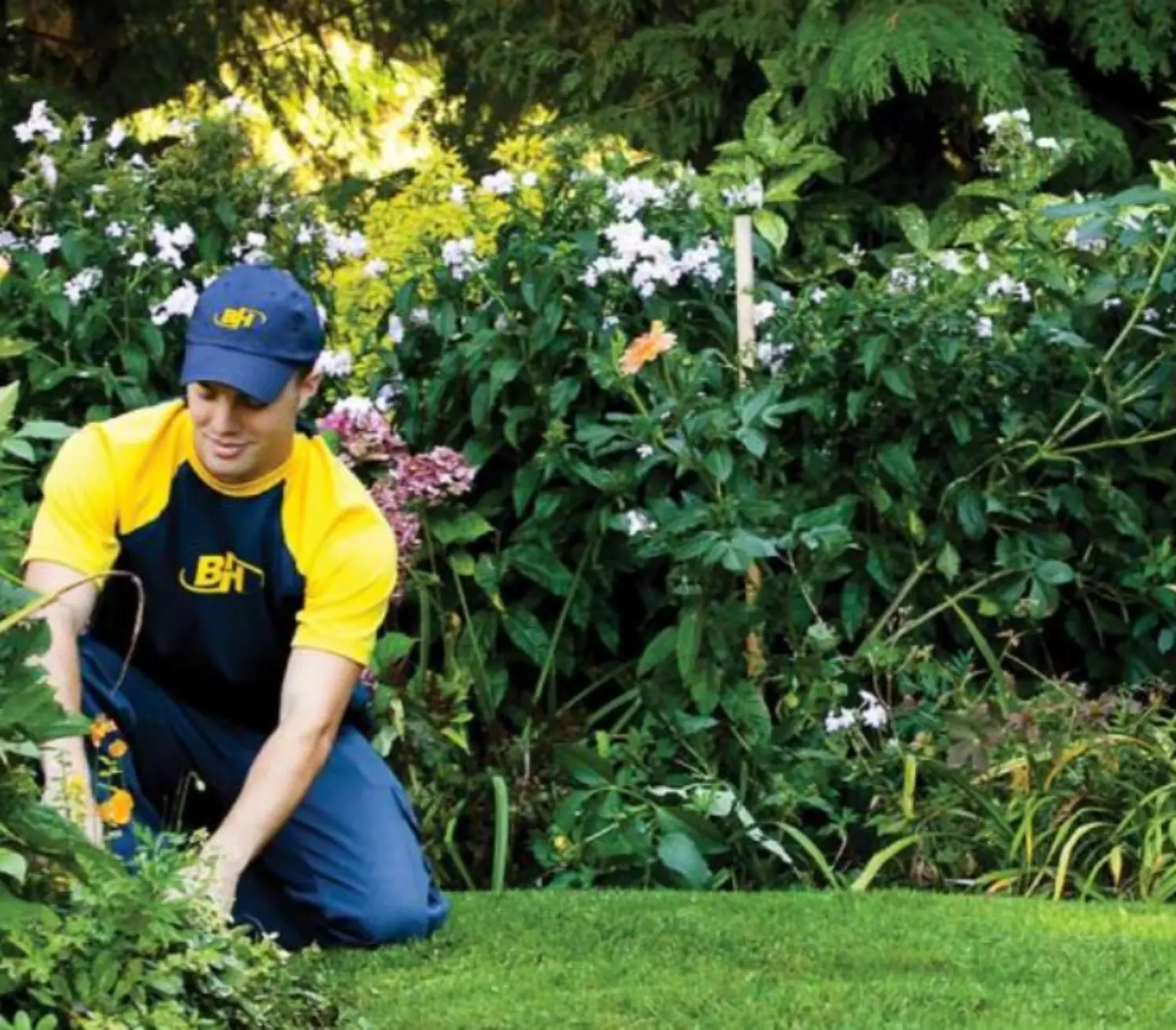 Gardening