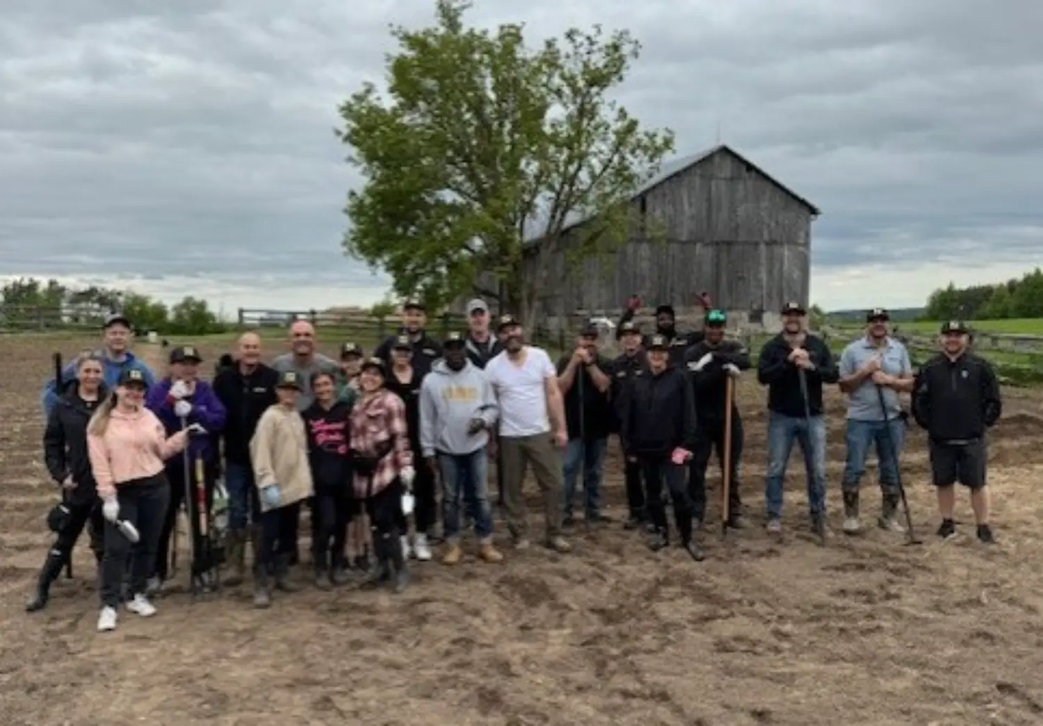 Volunteer Day at the Farm. team spent a day planting vegetables which are sent to the local food bank and employees.
