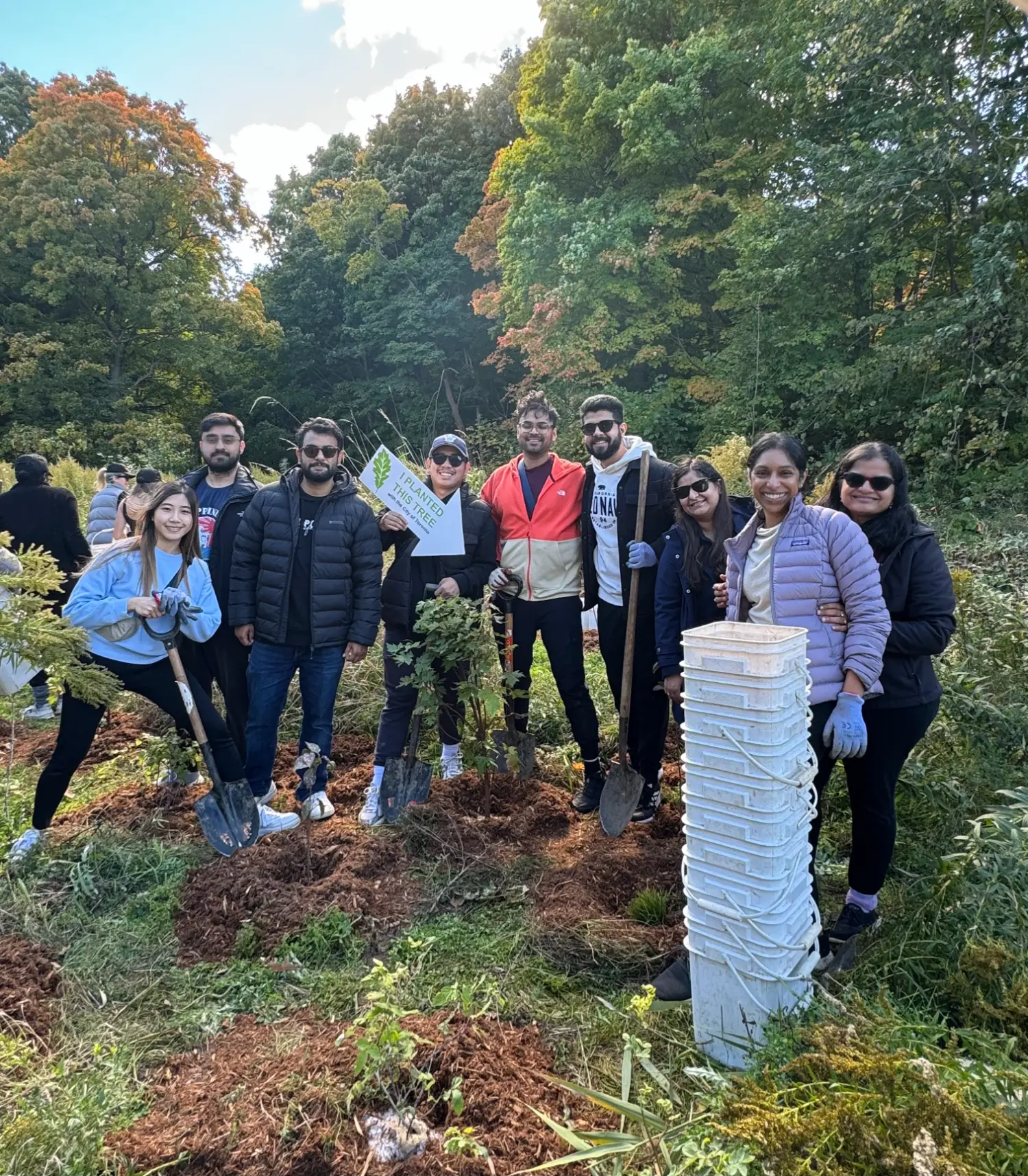 Paid volunteering day - planting trees