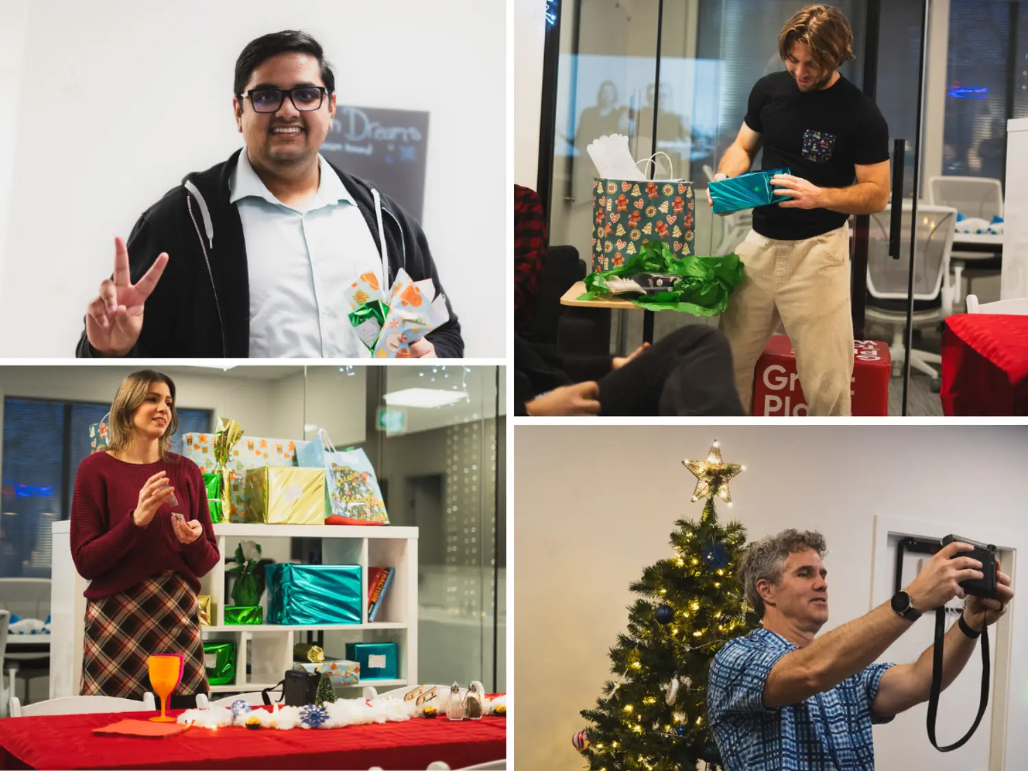 Dolphin holiday celebrations!