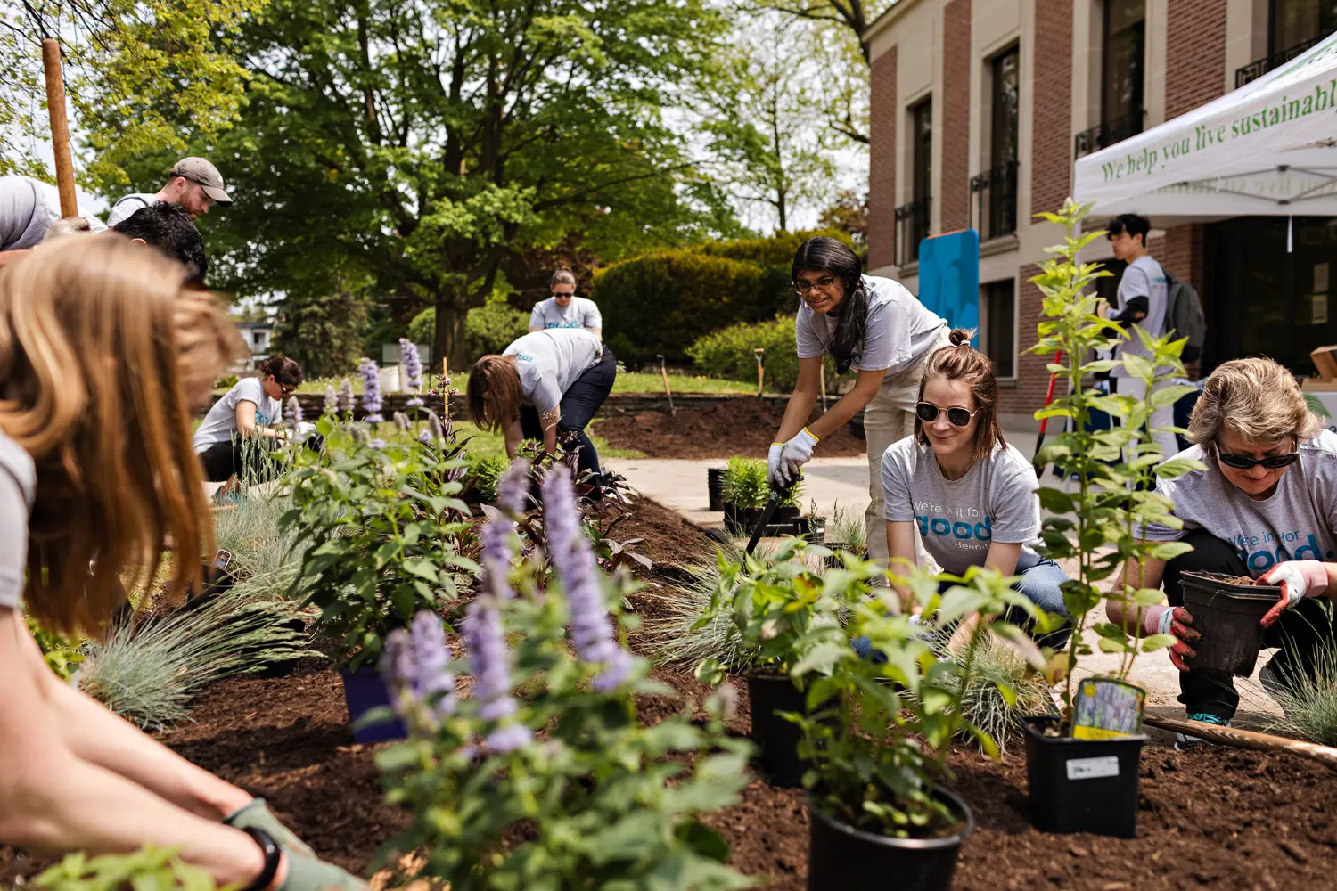 Employee volunteers plant a pollinator garden