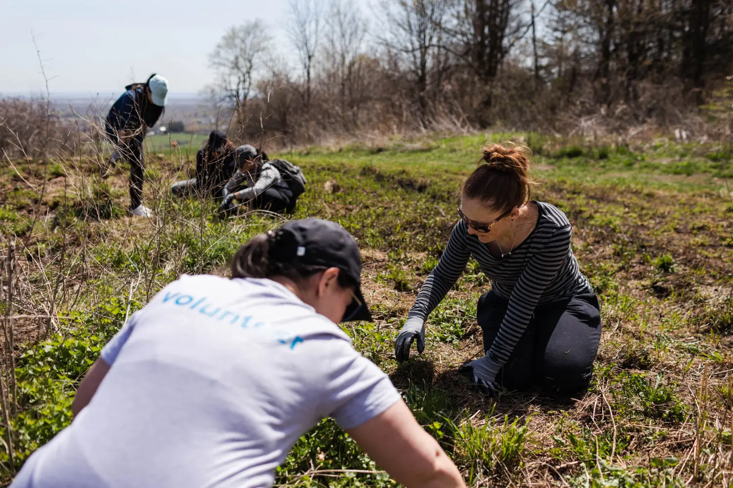 Employee volunteers on the Bruce Trail