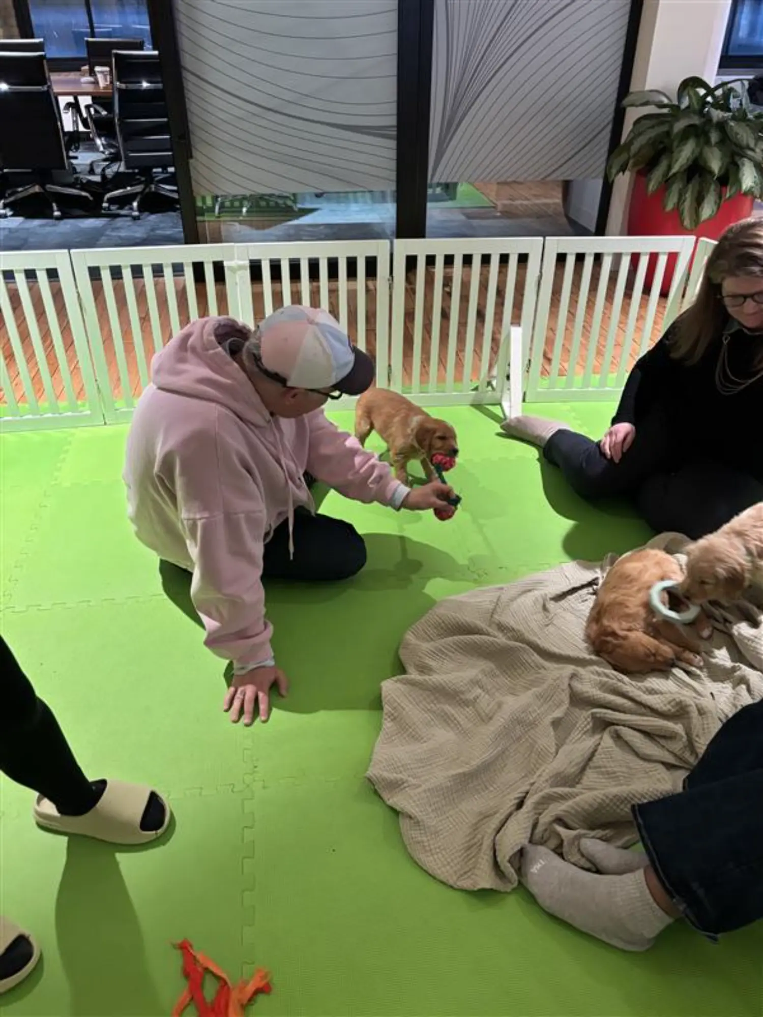 Spending time with puppies on Blue Monday to raise awareness around seasonal depression and our resources available