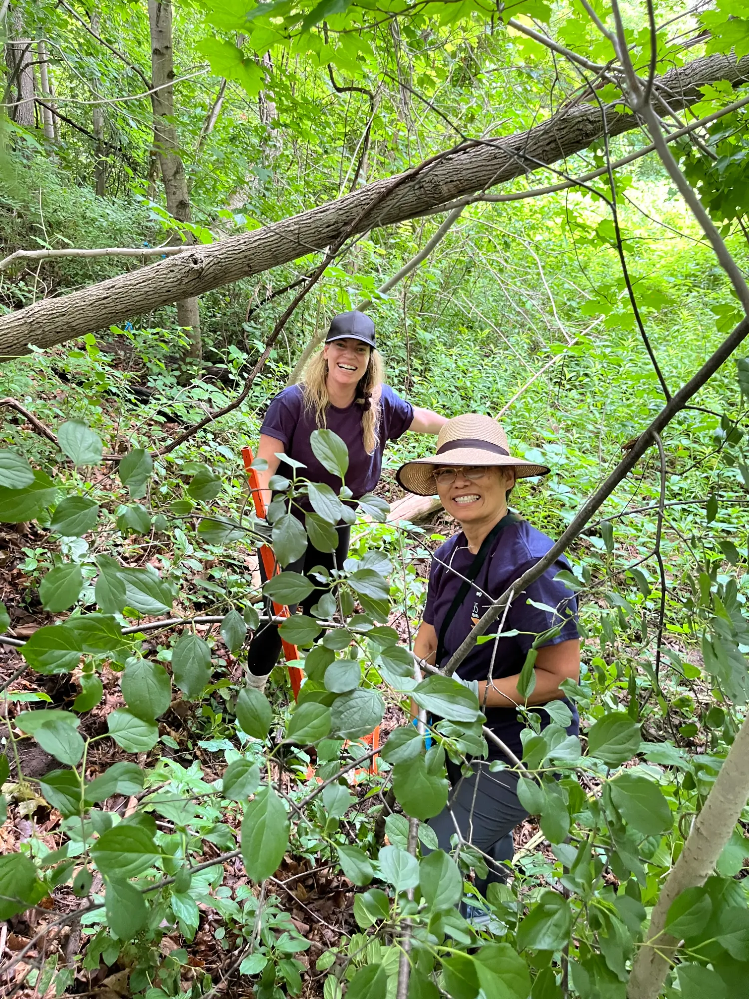 Team members in Canada volunteer at Credit Valley Conservation for RyanSHARES Day 2026.
