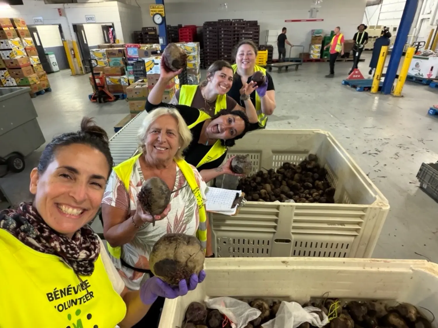 Ayming team volunteering with Moisson Montréal
